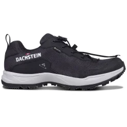 Dachstein Delta Ascent GTX