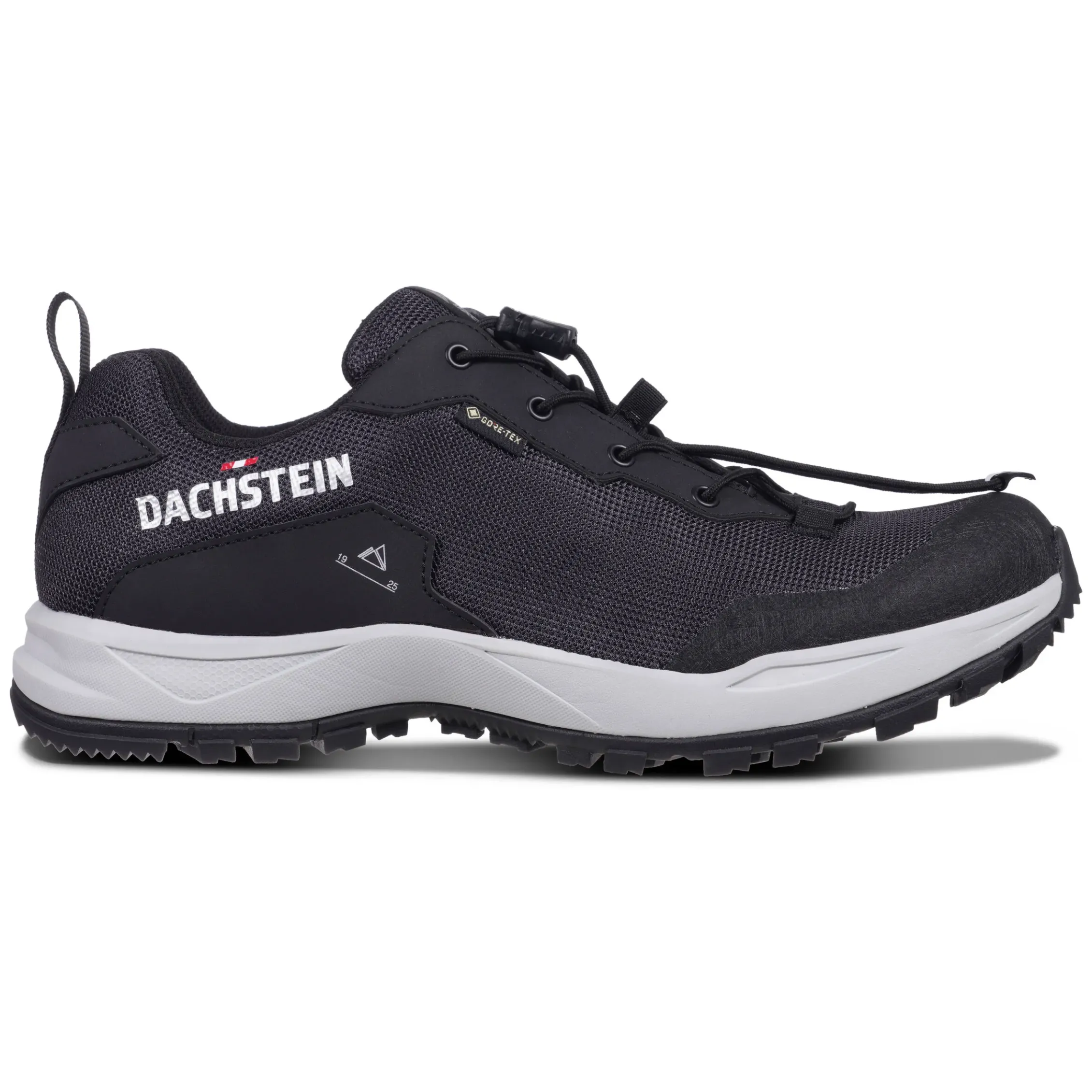 Dachstein Delta Ascent GTX