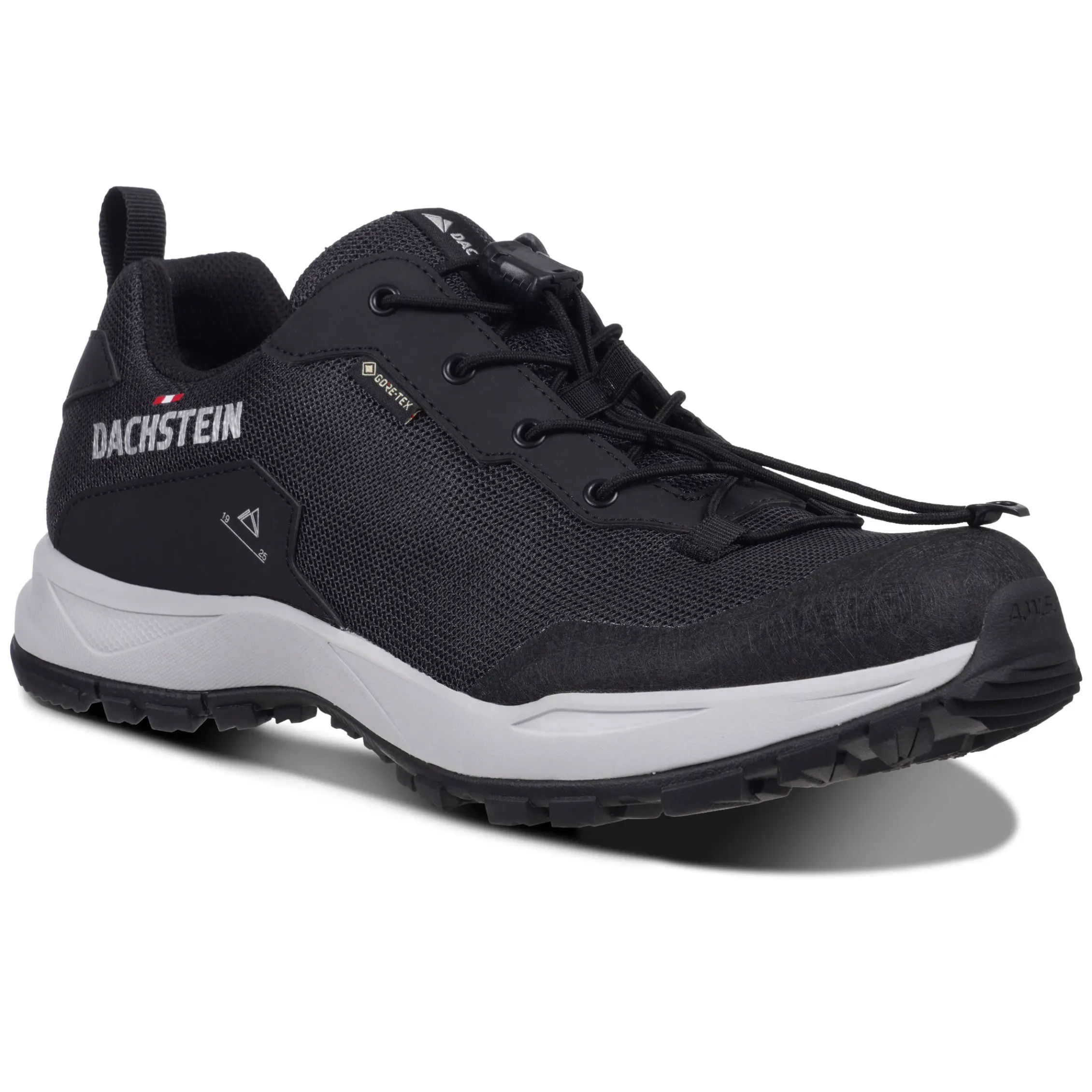 Dachstein Delta Ascent GTX