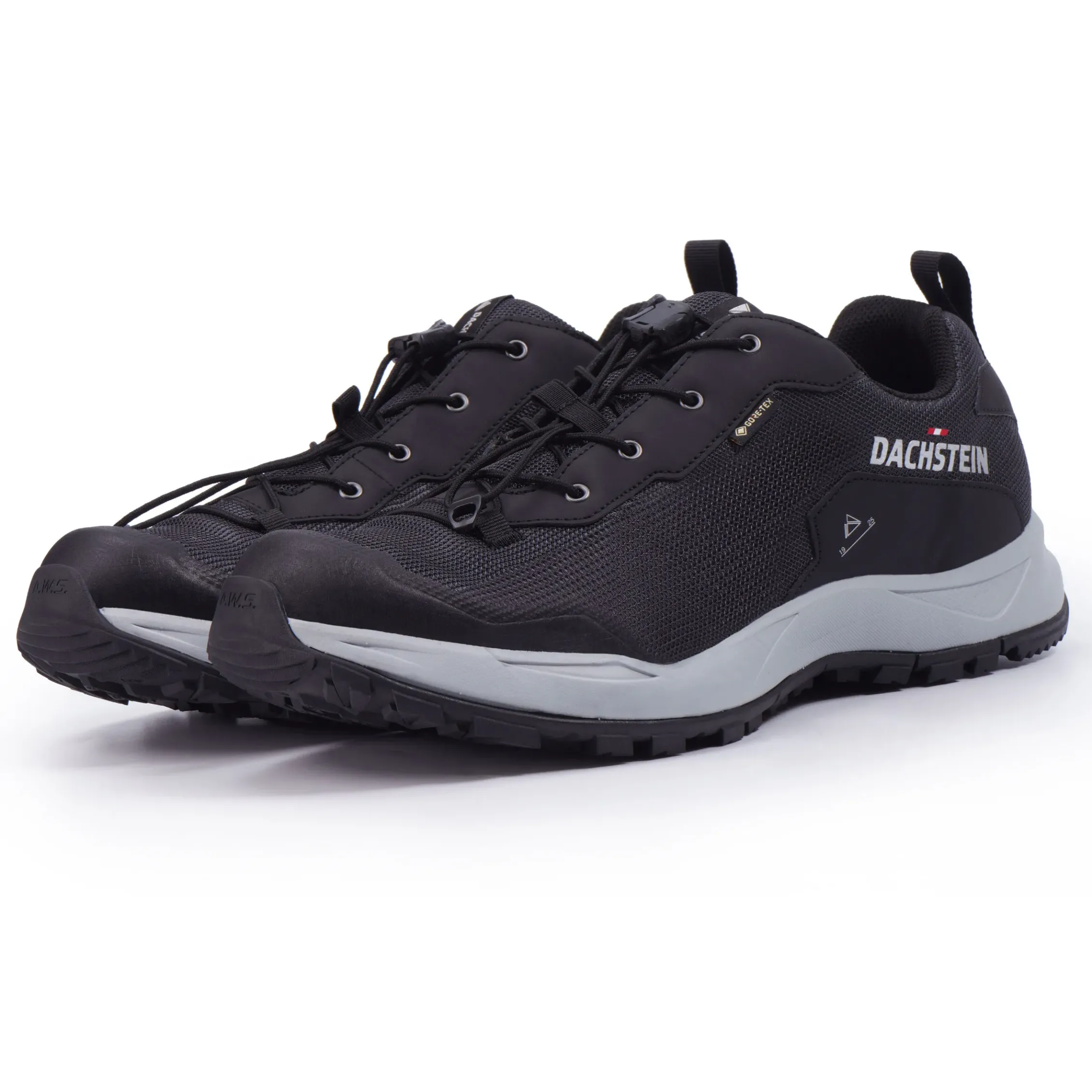 Dachstein Delta Ascent GTX