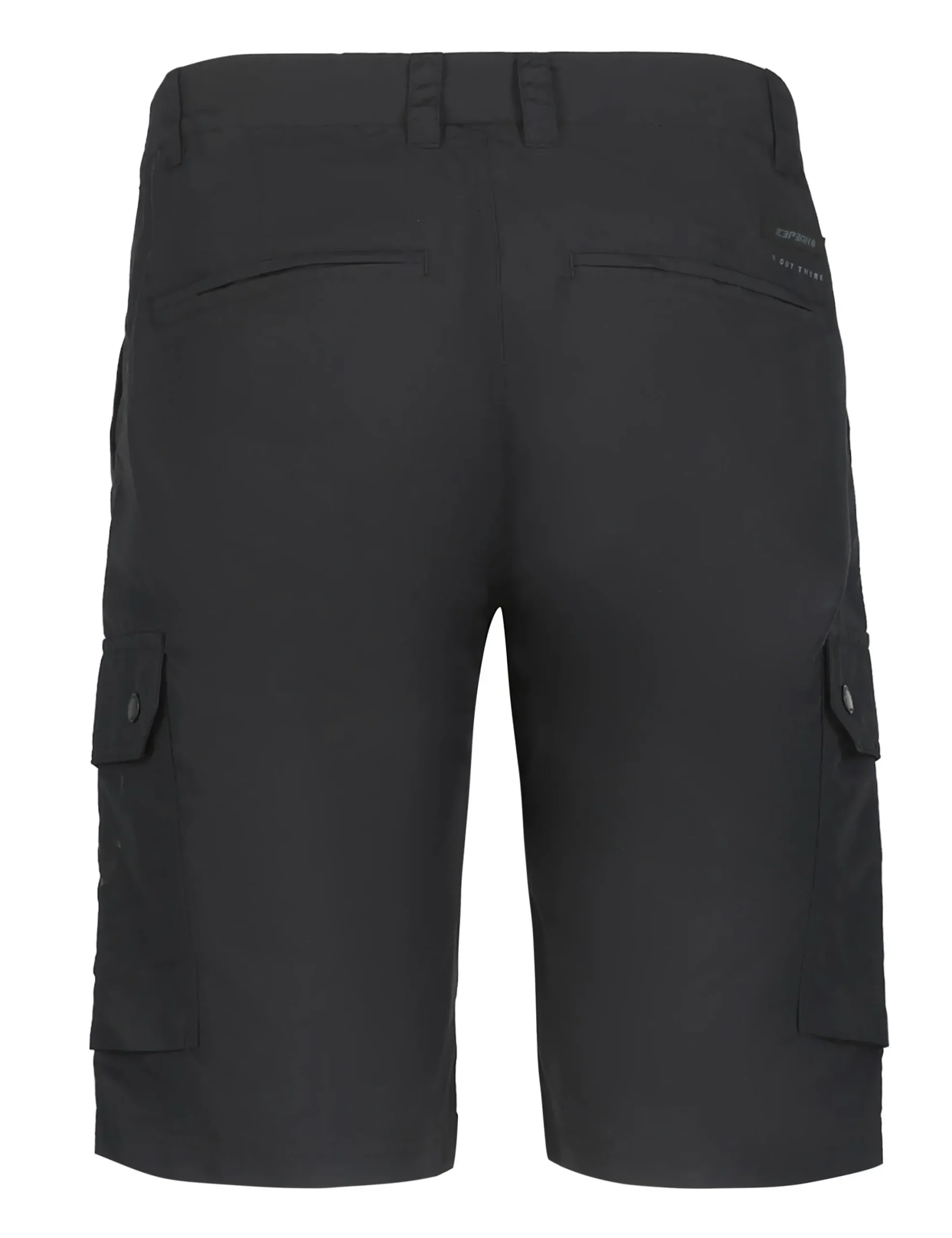 Icepeak Anzio