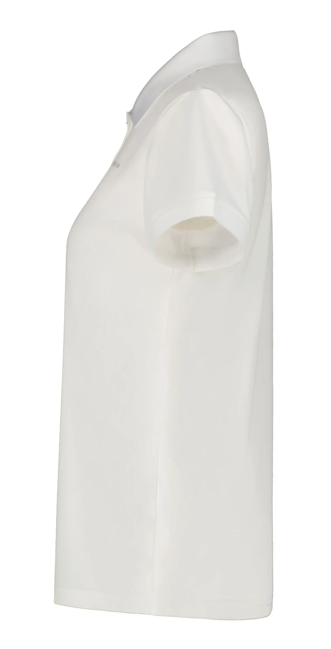 Icepeak Bayard