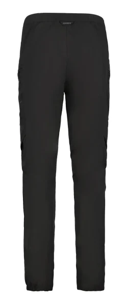 Icepeak Blevins