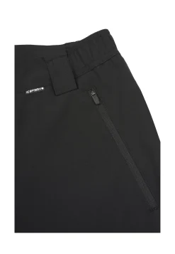 Icepeak dorr