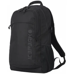 Icepeak Geiger