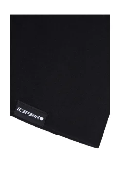 Icepeak Hemet