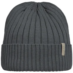 Icepeak Holton