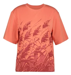 Icepeak Meigs