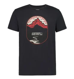 Icepeak Millington