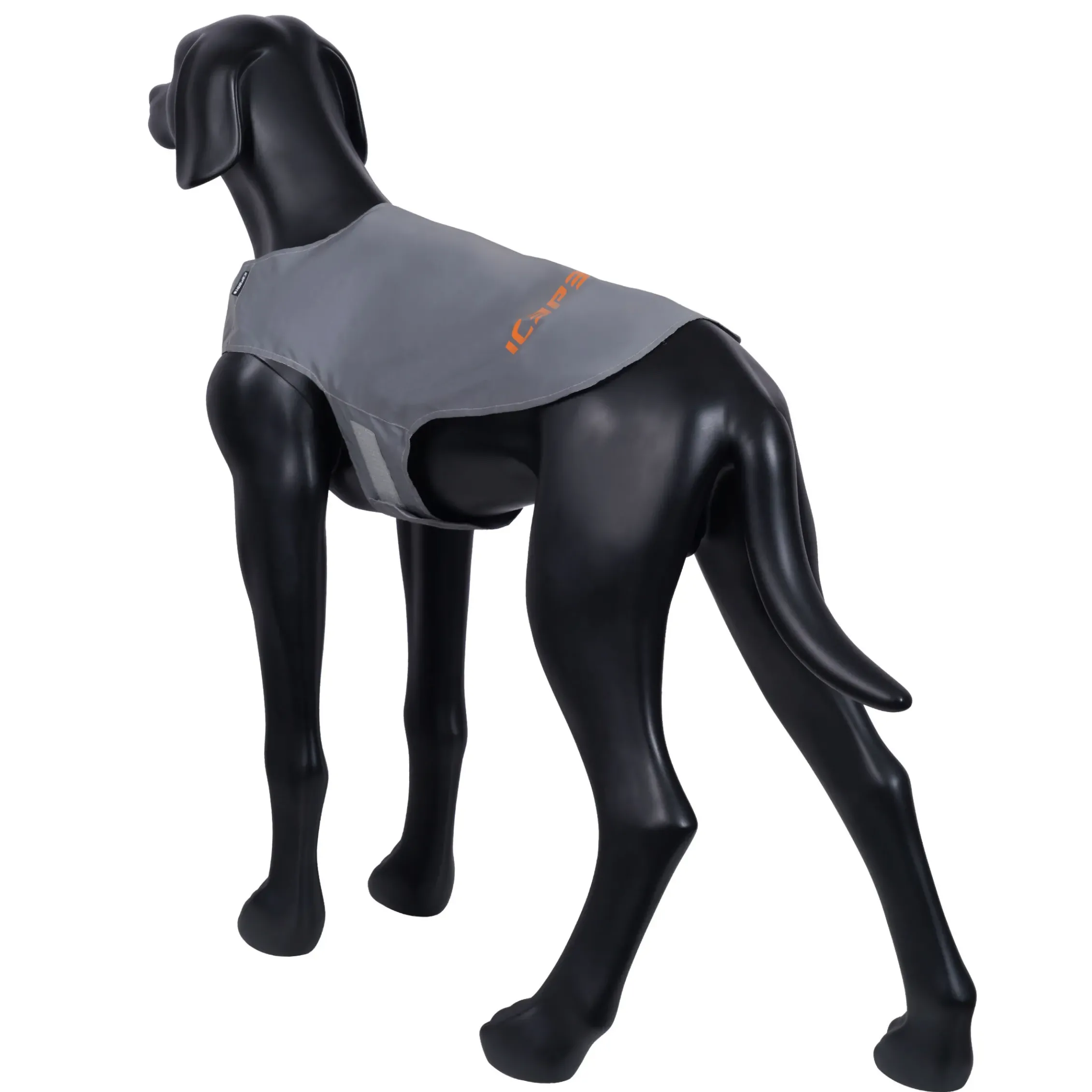 Icepeak Pet Brightly visibilityvest
