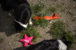 Icepeak Pet Starfish Toy